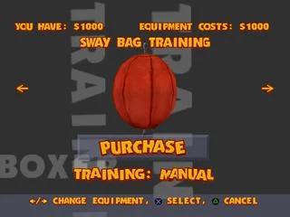 Ready 2 Rumble Boxing