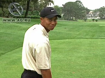 Tiger Woods PGA Tour 2004 (GCN)
