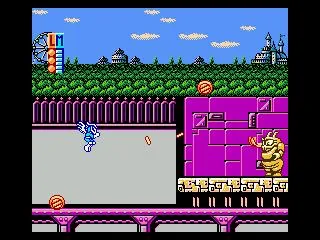 Totally Rad (NES)
