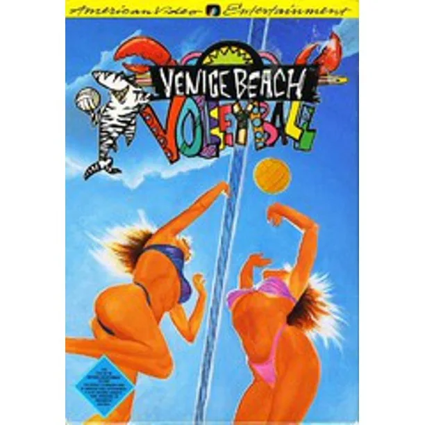 Venice Beach Volleyball (NES)