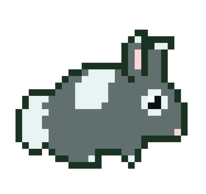 Rabbit (Amrith)