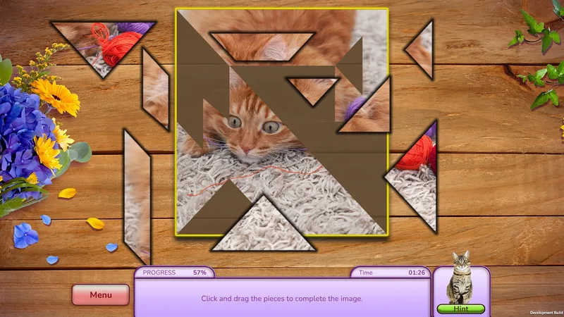 I Love Finding Cats (PC)