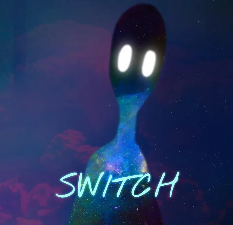 SWITCH (dawidk, Kostrzewak26)