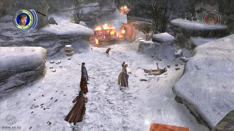 The Chronicles of Narnia: The Lion, the Witch and the Wardrobe (PS2)