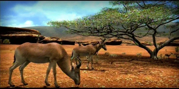 Afrika (PS3)