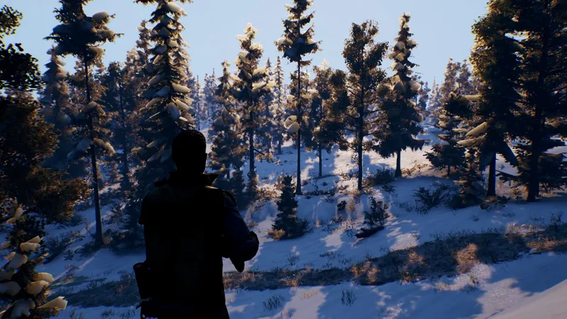 Open Country (PS4)