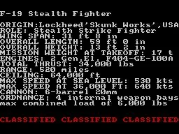 F-19 Stealth Fighter