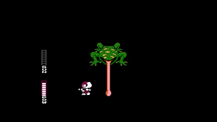 Blaster Master (Wii)